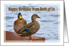 Birthday, From Both of Us, Mallard Ducks card