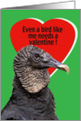 Valentine Card with Black Vulture card