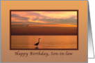 Birthday, Son-in-law, Ocean Sunset with Birds card