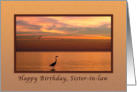 Birthday, Sister-in-law, Ocean Sunset with Birds card