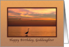 Birthday, Goddaughter, Ocean Sunset with Birds card