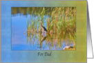 Birthday, Dad, Tricolored Heron, Reflections card