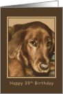 Birthday, 39th, Golden Irish Dog card