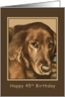 Birthday, 45th, Golden Irish Dog card
