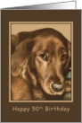 Birthday, 50th, Golden Irish Dog card