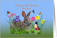 Birthday, Sister, Bunny Rabbit, Robin, and Flowers card
