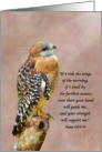 Encouragement and Hope, Religious, Hawk on a Limb card