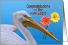 Congratulations, White Pelican, Flowers card