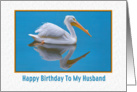 Birthday, Husband, White Pelican card