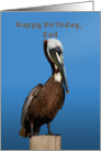 Birthday, Dad, Brown Pelican card