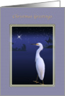 Christmas, Nativity, Egret Bird, Star card
