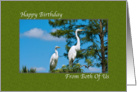 Birthday, From Both of Us, Great Egret Birds card
