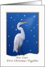 First Christmas Together, Great Egret, Religious card