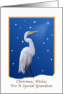 Christmas, Grandson, Egret Bird, Religious card