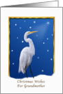 Christmas, Grandmother, Great Egret, Star, Snow card