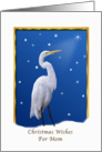 Christmas, Mom, Great Egret, Star, Snow card