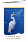 Christmas, Pastor, Great Egret, Star, Snow card