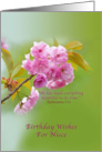 Birthday, Niece, Cherry Blossom Flowers, Religious card