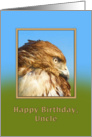 Birthday, Uncle, Rough-legged Hawk Bird card