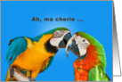Love and Romance, Parrots, Humor card