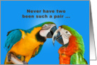 Anniversary for Couple, Two Parrots, Humor card