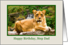 Birthday, Step Dad, Lion on a Rock card