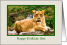Birthday, Son, Lion on a Rock card