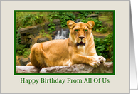 Birthday, From All of Us, Lion on a Rock card