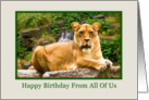 Birthday, From All of Us, Lion on a Rock card