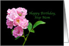 Birthday, Step Mom, Pink Garden Roses on Black card