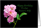Birthday, Pastor’s Wife, Pink Garden Roses on Black card