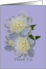Thank You, White Peonies on Lavender card