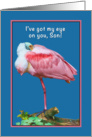 Birthday, Son, Roseate Spoonbill Bird, Humor card