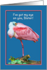 Birthday, Sister, Roseate Spoonbill Bird, Humor card