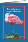 Birthday, Nephew, Roseate Spoonbill Bird, Humor card