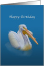 Birthday, White Pelican on Blue card