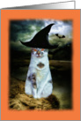 Halloween, Cat in Witch Hat, Spooky card