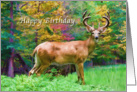 Birthday, Deer in the Forest card