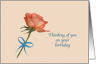 Birthday, Salmon Rose, Blue Ribbon card