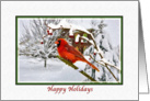 Christmas, Happy Holidays, Cardinal Bird, Snow, Red Berries card