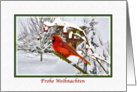 Christmas, Frohe Weihnachten, German, Cardinal Bird, Snow card