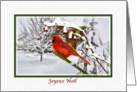 Christmas, Joyeux Nol, French, Cardinal Bird, Snow card