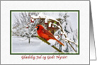 Christmas, Gldelig Jul, Danish, Cardinal Bird, Snow card