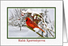 Christmas, Greek, Cardinal Bird, Snow card