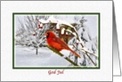 Christmas, God Jul, Norwegian, Cardinal Bird, Snow card