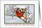 Christmas Wishes, Mom and Dad, Cardinal Bird, Snow card