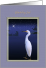 Christmas, Gldelig Jul, Danish, Snowy Egret, Nativity card