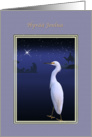 Christmas, Hyv Joulua, Finnish, Snowy Egret, Nativity card