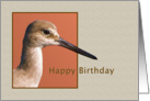 Birthday, Willet Bird on Shades of Brown card