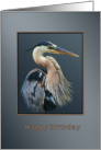 Birthday, Great Blue Heron Bird on Gray and Silver card